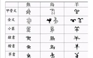 各国文字历史与汉字