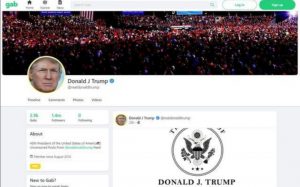 gab。com一个人带火一个网站